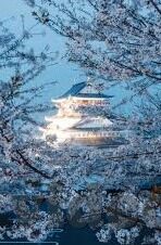 大象传媒软件下载安装-探索大象传媒软件，从下载到安装的全面指南