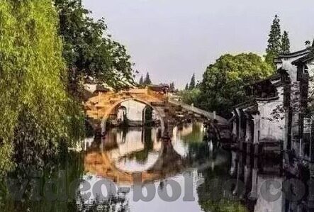 大象传媒网址是多少-探索大象传媒的数字门户，一个互联网时代的文化桥梁