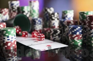 大象视频回家导航dxd-探索大象视频与Dxd，科技与自然共舞的奇妙篇章