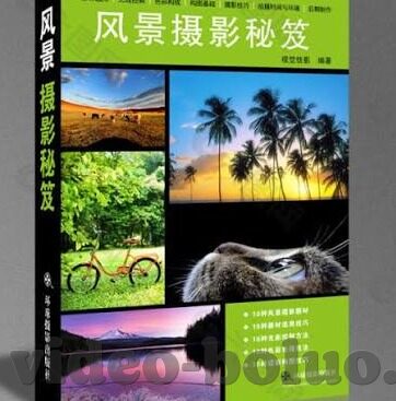 国产av日韩a∨亚洲av麻豆-国产AV、日韩AV与亚洲AV，文化差异与观赏体验的探索