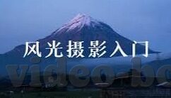 糖心app直播下载地址-探索多元化娱乐，畅享糖心直播平台的精彩世界