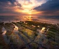 星空无限传媒麻豆-星空下的绮梦——探索麻豆与星空无限传媒的梦幻联动